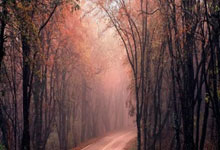 意大利豪取乌克兰，小组战绩全胜晋级