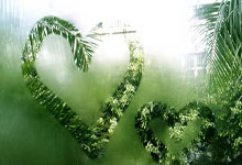 瑞士携带三分回家，做客擒敌