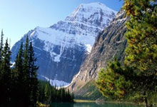 意大利豪取乌克兰，小组战绩全胜晋级