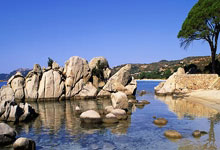 快船后卫连轰+，率队逆转战胜独行侠